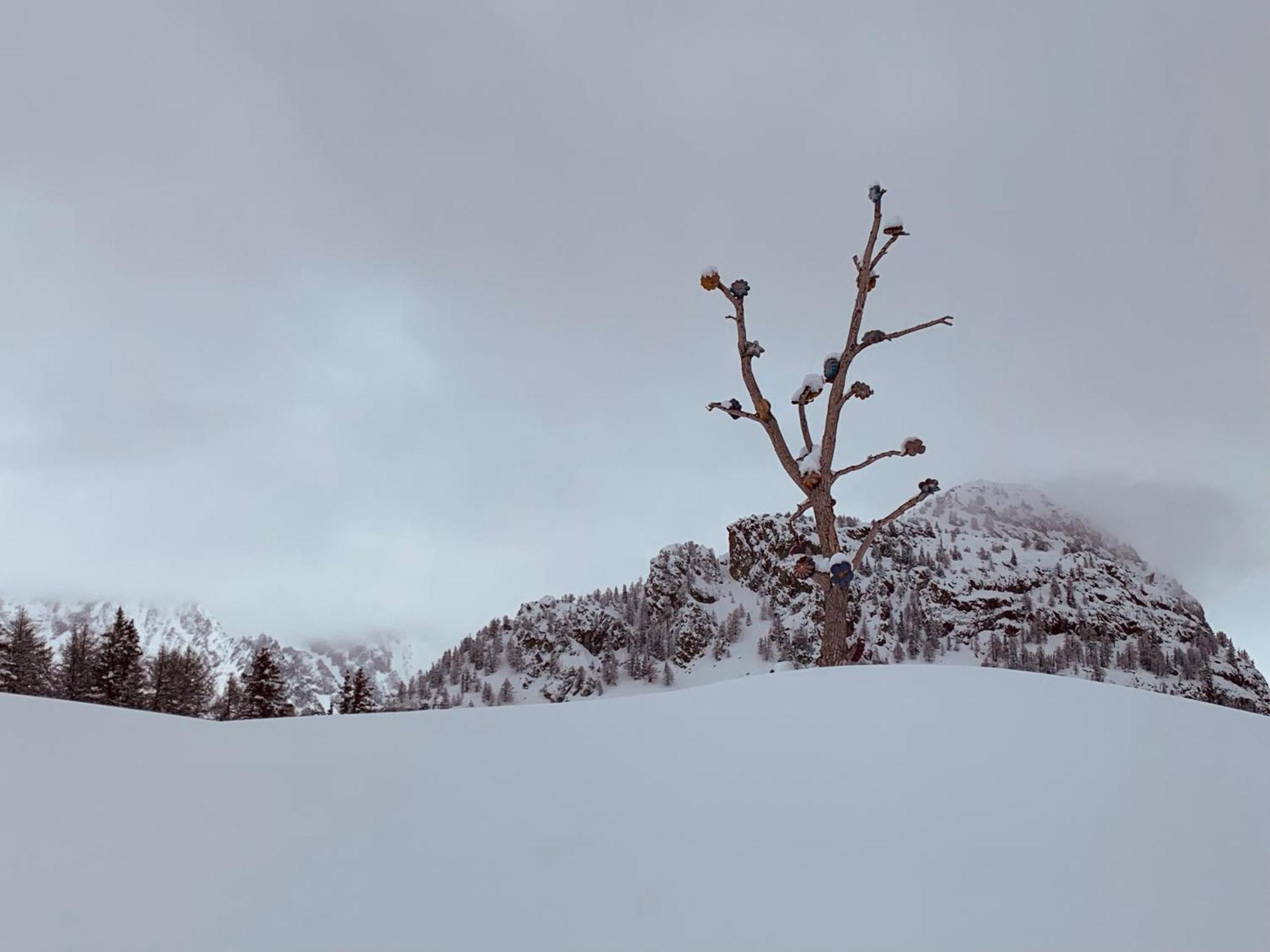 Mansardacourmayeur Apartment Courmayeur